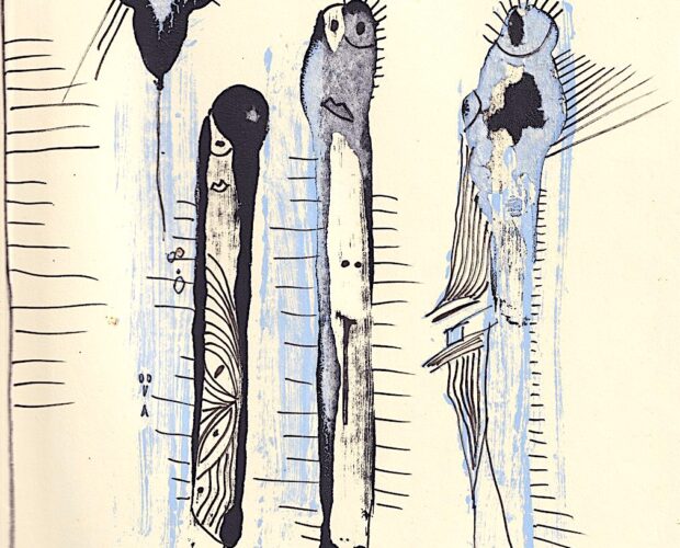 Festival, aringhe predicatore, formica