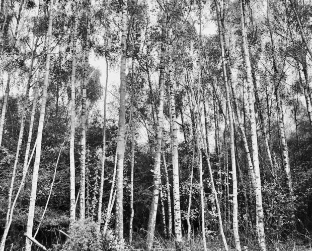 Amikumu, esperanto, tecnologia, lingue