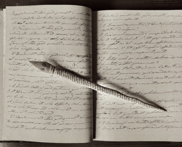 Polemica Sismondi-Manzoni, asservimento