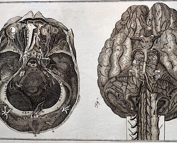 Il quarto d'ora di Rabelais