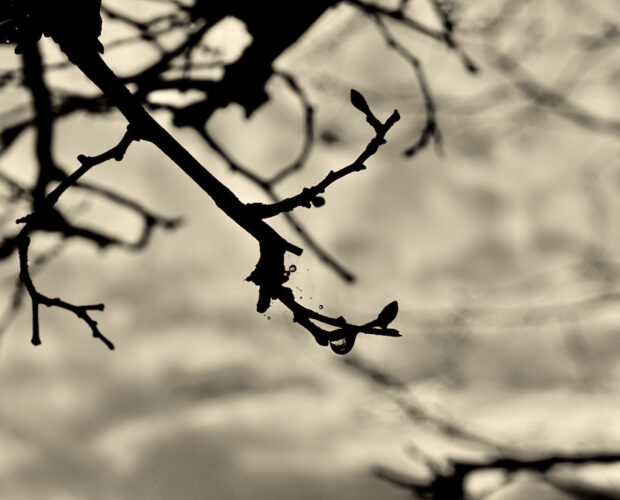 When a teacher changes his mind.