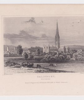 Antique Engraving Print, Salisbury, Wilthshire, 1829