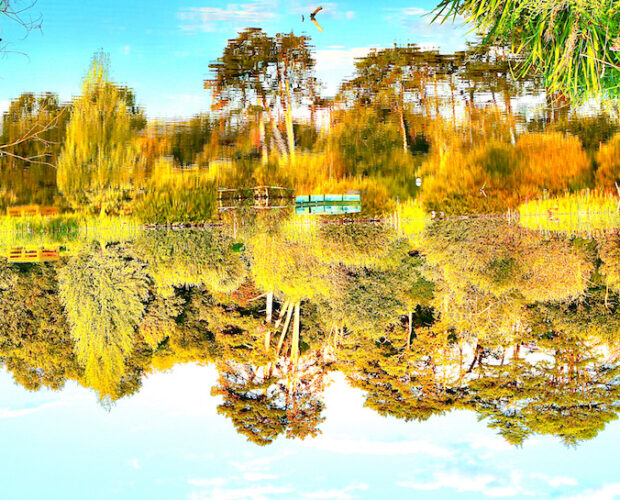 Calvino, Thélème, mondo rovesciato