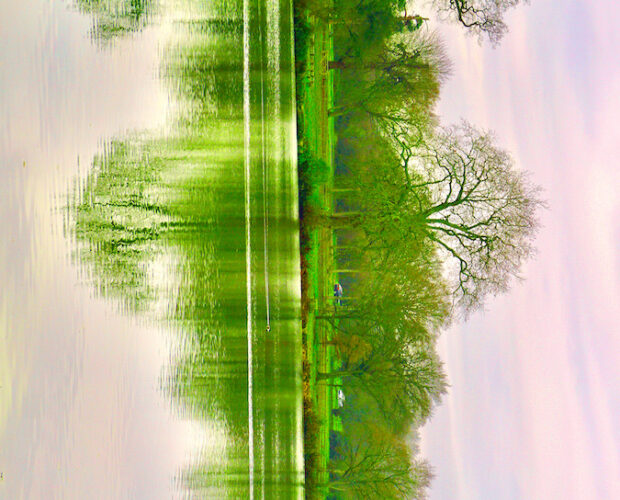 Cadono gli specchi nelle pattumiere