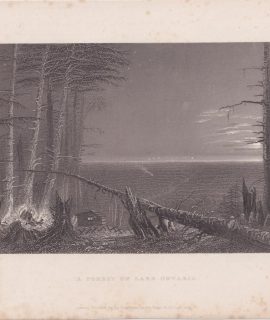 Antique Engraving Print, A Forest in Lake Ontario, 1838