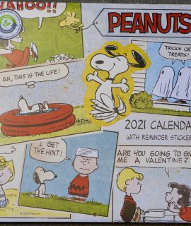 Peanuts Family Planner 2021, calendar club, collectable