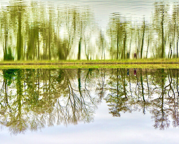 Riso, pianto, potere, carnevale