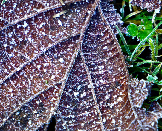La fine della scrittura