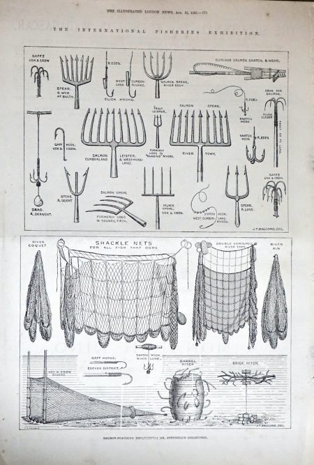 Antique Print, The International Fisheries Exhibition, 1883