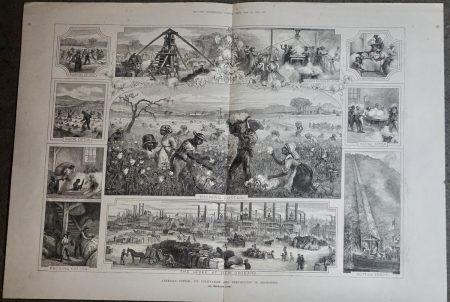 Antique Print, American Cotton: its cultivation and preparation in Mississippi, 1881