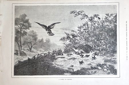 Antique Print, A family in danger, 1879
