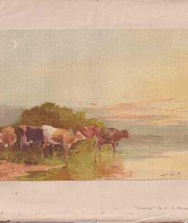 Antique Print, Evening, by Wainewright, 1868