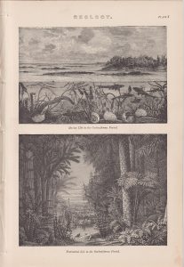 Antique Print, Geology, Carboniferous Period, 1890