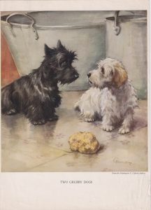 Vintage Print, Two Grubby Dogs, 1909