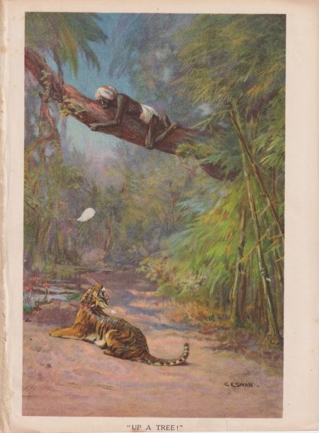 Vintage Print, "Up a tree!" by C. Eswan, 1887