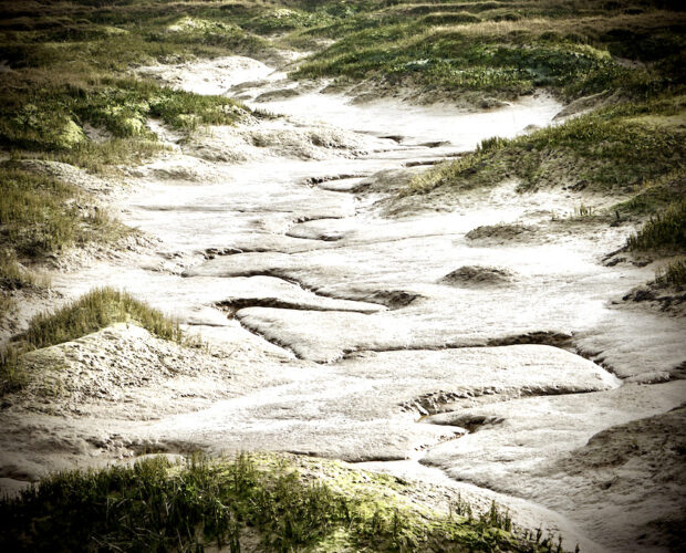 Vaglio al vaglio, scelta stoffa