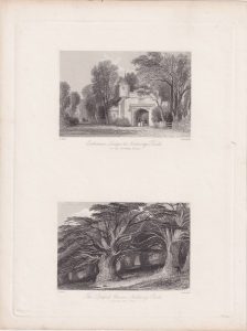 Antique Engraving Print, The Druid's Grove; Entrance Lodge, Norbury Park, 1845