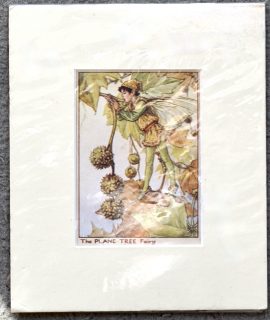 Vintage Print, The Plane Tree Fairy, 1909