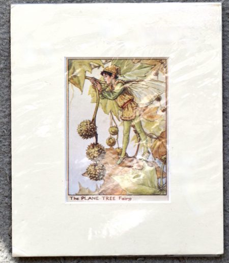 Vintage Print, The Plane Tree Fairy, 1909