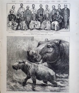 Antique Print, The Hippopotamus: The Japanese Embassy, 1872