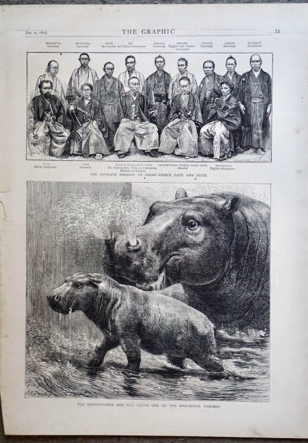 Antique Print, The Hippopotamus: The Japanese Embassy, 1872