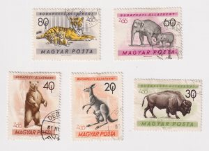 Lot of 5 Vintage Hungary Postage stamps, zoo series, 1961 Magyar Posta