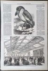 Antique Print, The Boat-Bill; Opening of the New Drill-Hall, 1867