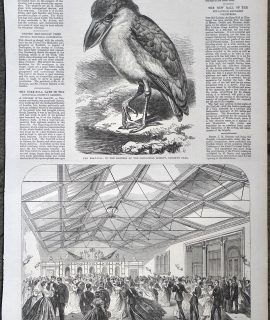 Antique Print, The Boat-Bill; Opening of the New Drill-Hall, 1867