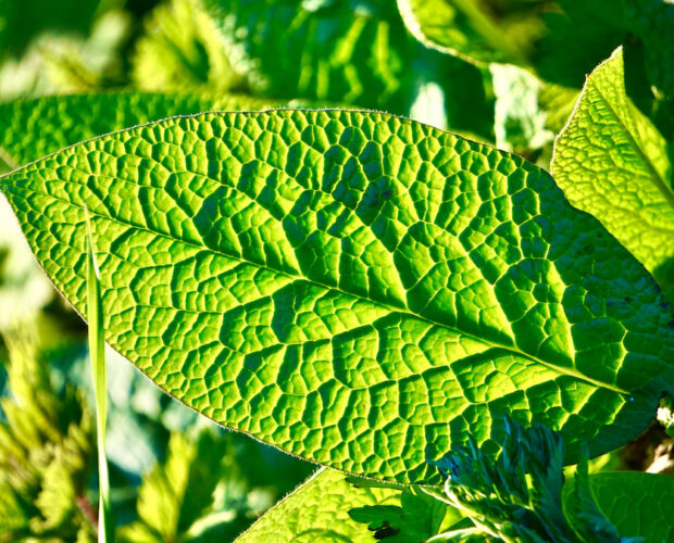 La scrittura è un lavoro?