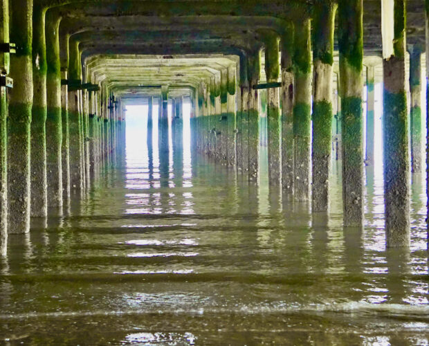 Traduzioni, Giuseppe Flavio, classici