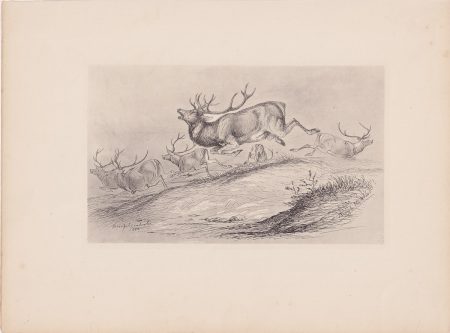 Antique Print, Hunting, 1884