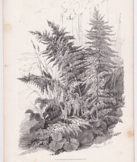 Antique Print, published by Ackermann, 1833