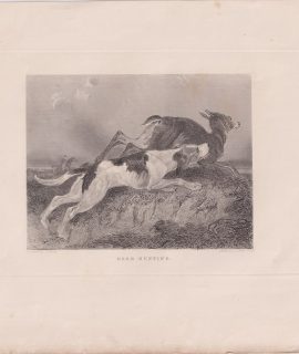 Antique Engraving Print, Deer Hunting, 1843