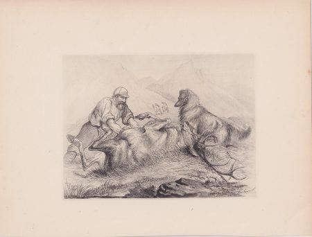 Antique Print, Hunting, 1881
