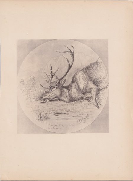 Antique Print, Hunting, 1885