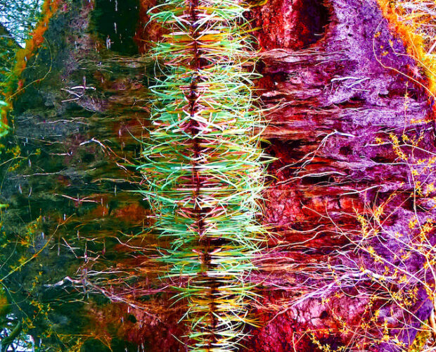 Nuovo dio del suolo e dell'aria