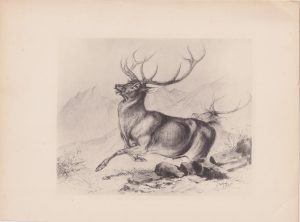 Antique Print, Hunting, 1884