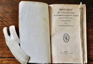 Osservazioni di Luigi Fiacchi sul Decamerone di M. Giovanni Boccaccio, 1821