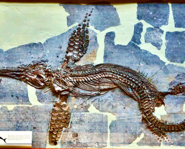 Editoria. Inesistenza delle raccomandazioni?