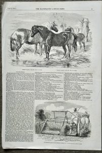 Antique Print, Ponies, 1853