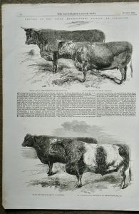 Antique Print, Meeting of the Royal Agricultural Society, 1857