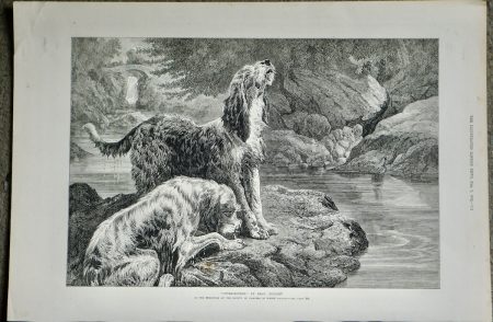 Antique Print, Otter-Hounds, 1872
