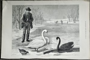 Antique Print, Frozen out, 1879