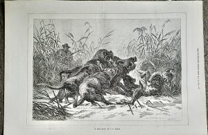 Antique Print, A boar Hunt by C.F. Deiker, 1873