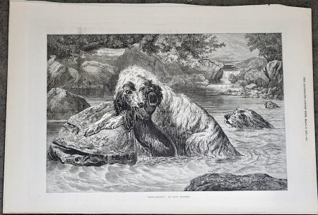 Antique Print, Otter-Hounds, 1873