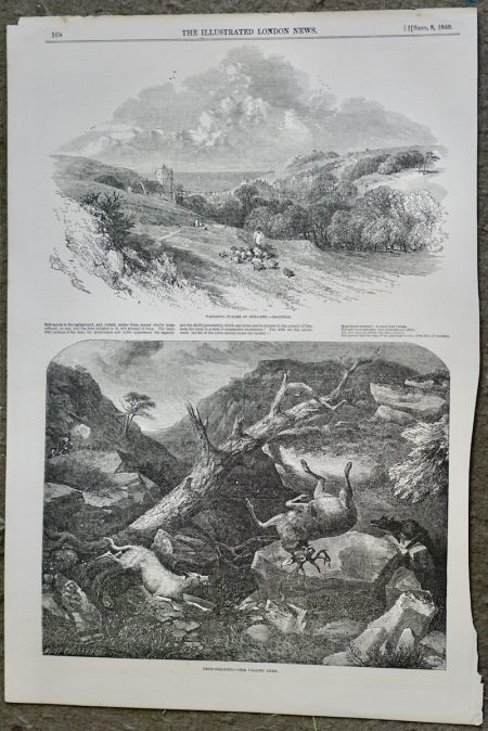 Antique Print, Watering Places; Deer stalking, 1849