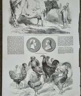 Antique Print, Medal; Poultry Show; Ox, 1853