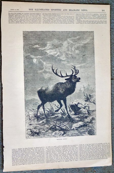 Antique Print, Hunted Down, 1874