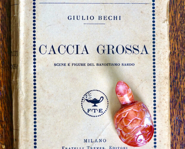Giulio Bechi, Caccia grossa
