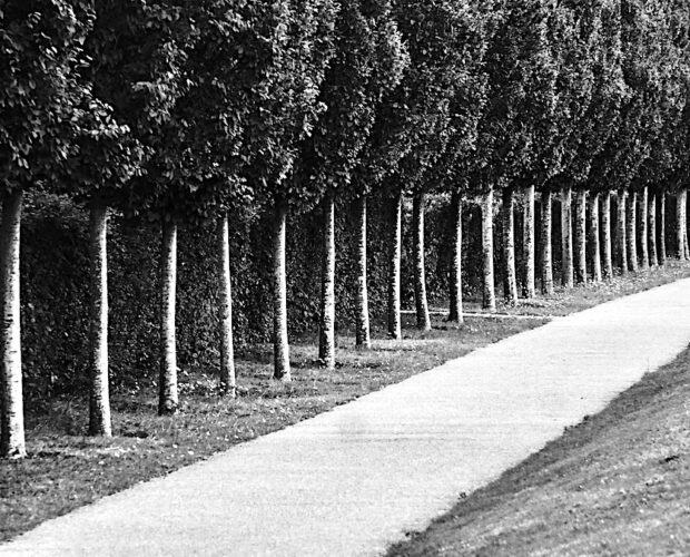 Letteratura, resistenza, potere, carriera